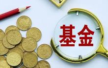 泰達宏利基金：持續關注低